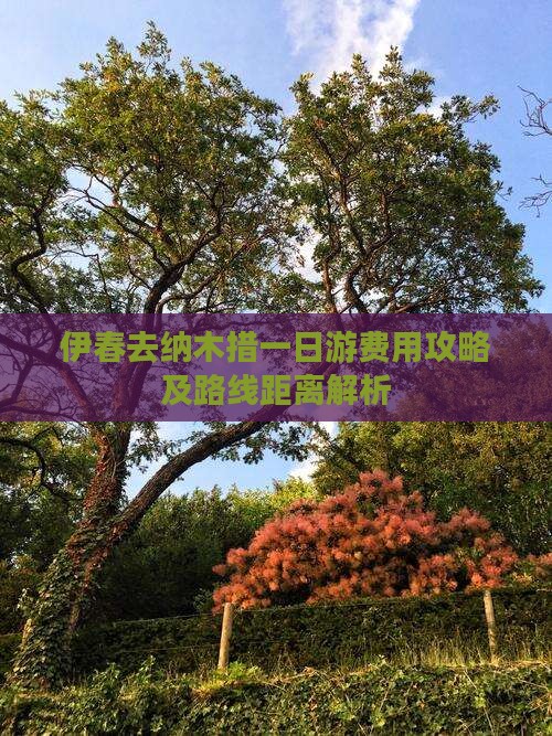 伊春去纳木措一日游费用攻略及路线距离解析