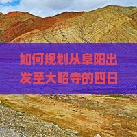 如何规划从阜阳出发至大昭寺的四日游行程与攻略？