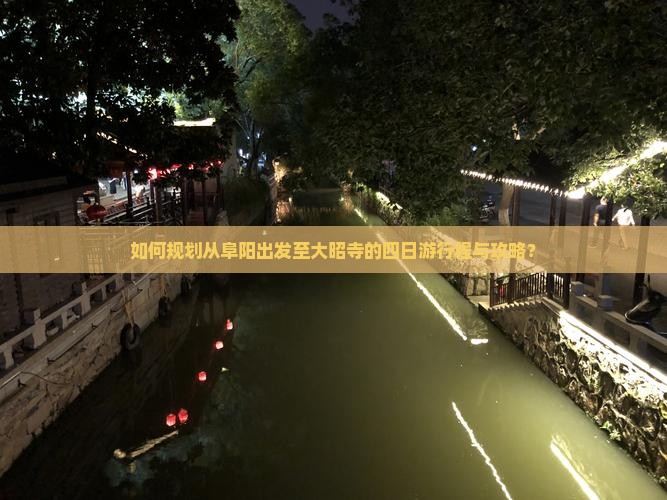 如何规划从阜阳出发至大昭寺的四日游行程与攻略？