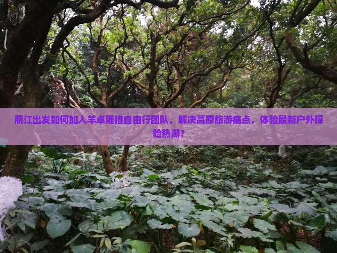 丽江出发如何加入羊卓雍措自由行团队，解决高原旅游痛点，体验最新户外探险热潮？