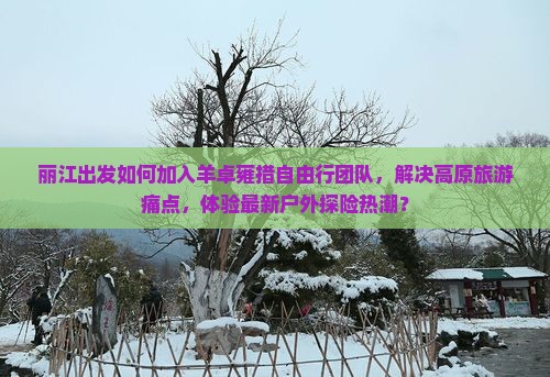 丽江出发如何加入羊卓雍措自由行团队，解决高原旅游痛点，体验最新户外探险热潮？