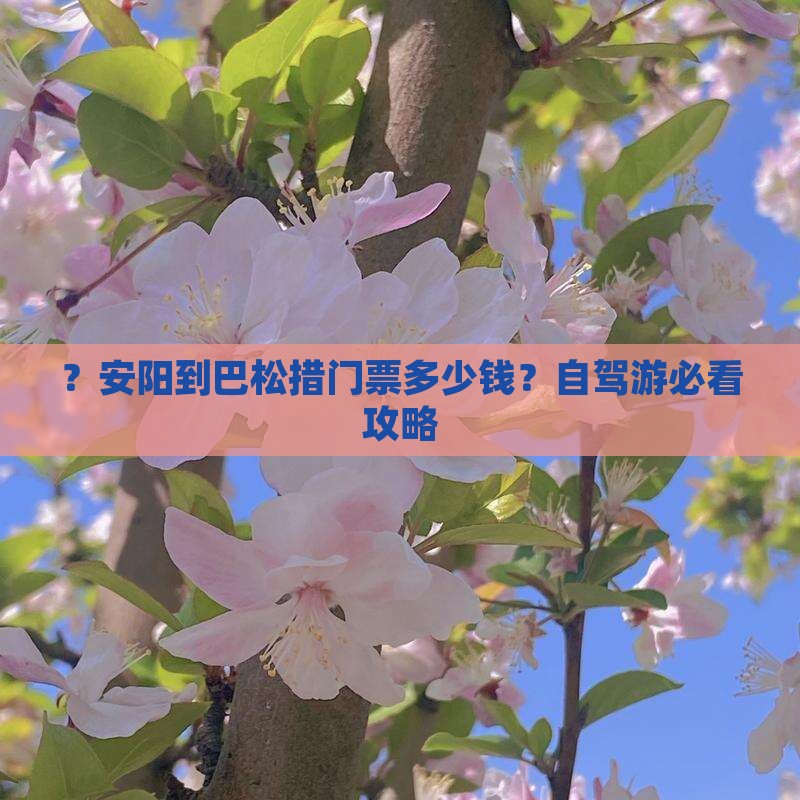 ?安阳到巴松措门票多少钱?自驾游必看攻略 ?安阳到巴松措门票多少钱?自驾游必看攻略