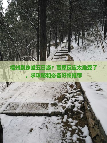 福州到珠峰五日游？高原反应太难受了，求攻略和必备好物推荐