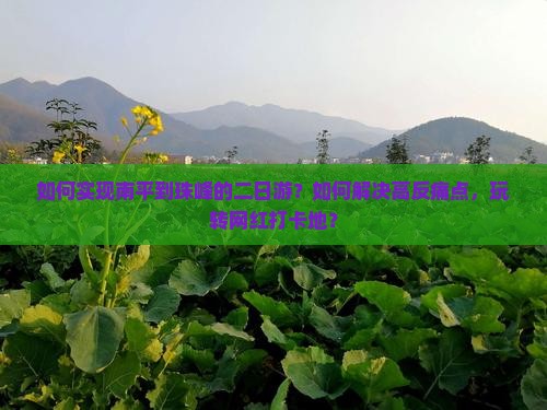 如何实现南平到珠峰的二日游？如何解决高反痛点，玩转网红打卡地？