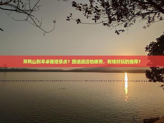双鸭山到羊卓雍措景点？路途遥远怕疲劳，有啥好玩的推荐？
