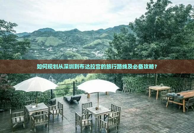 如何规划从深圳到布达拉宫的旅行路线及必备攻略？