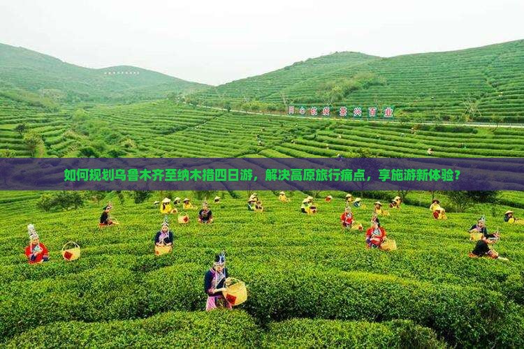 如何规划乌鲁木齐至纳木措四日游，解决高原旅行痛点，享施游新体验？
