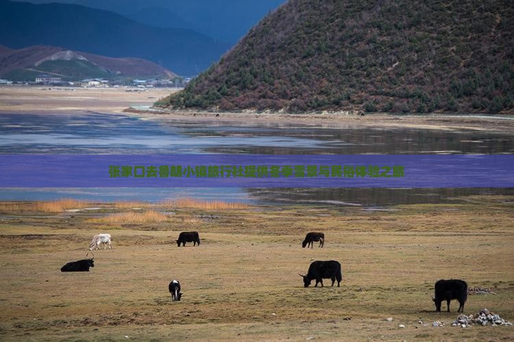 张家口去鲁朗小镇旅行社提供冬季雪景与民俗体验之旅