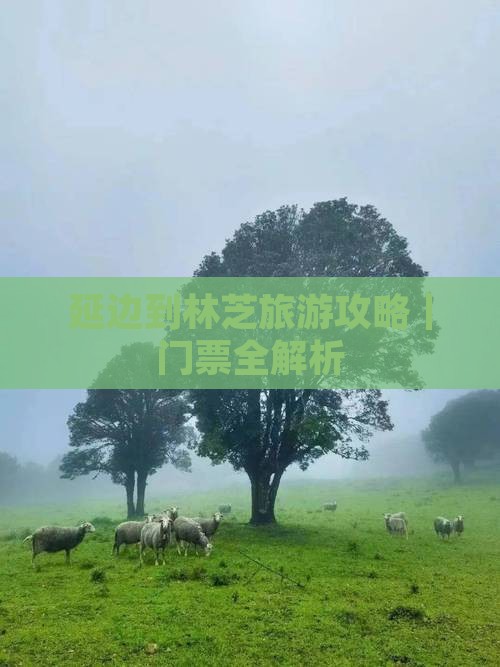 延边到林芝旅游攻略｜门票全解析