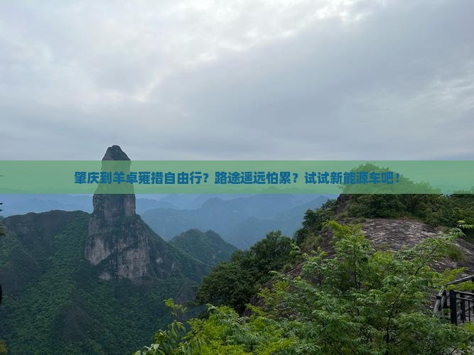 肇庆到羊卓雍措自由行？路途遥远怕累？试试新能源车吧！