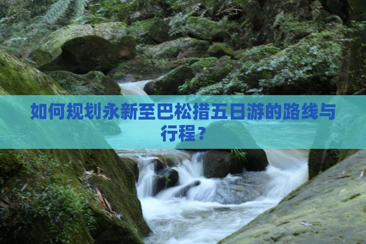 如何规划永新至巴松措五日游的路线与行程？