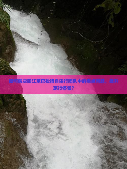 如何解决阳江至巴松措自由行团队中的痛点问题，提升旅行体验？