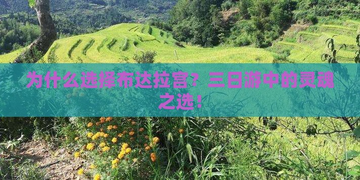 为什么选择布达拉宫？三日游中的灵魂之选！