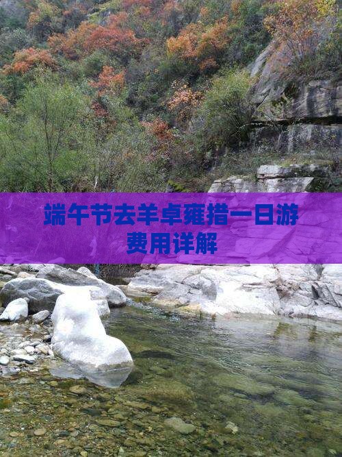 端午节去羊卓雍措一日游费用详解