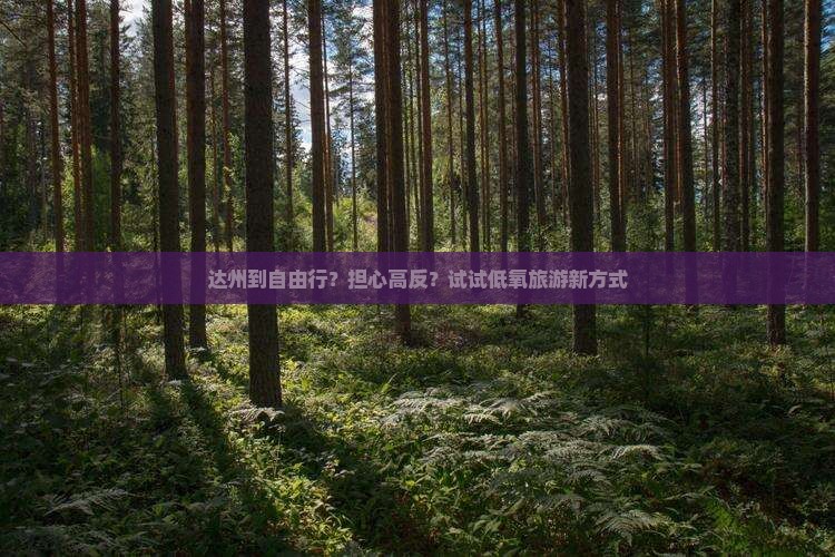 达州到自由行？担心高反？试试低氧旅游新方式