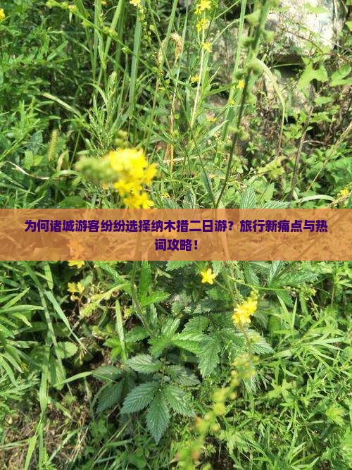 为何诸城游客纷纷选择纳木措二日游？旅行新痛点与热词攻略！