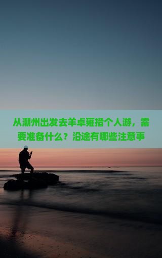 从潮州出发去羊卓雍措个人游，需要准备什么？沿途有哪些注意事项？