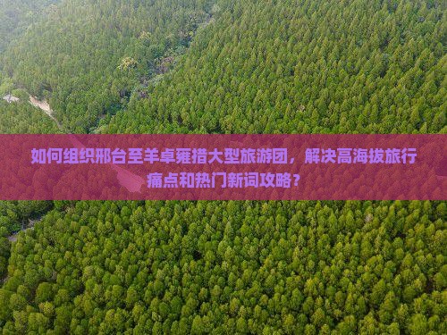 如何组织邢台至羊卓雍措大型旅游团,解决高海拔旅行痛点和热门新词攻略? 如何组织邢台至羊卓雍措大型旅游团,解决高海拔旅行痛点和热门新词攻略?