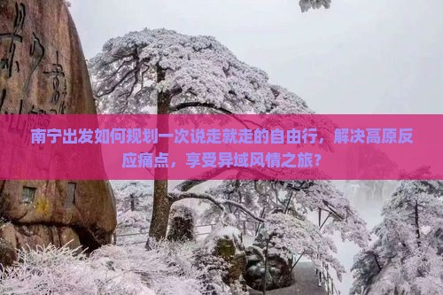 南宁出发如何规划一次说走就走的自由行，解决高原反应痛点，享受异域风情之旅？