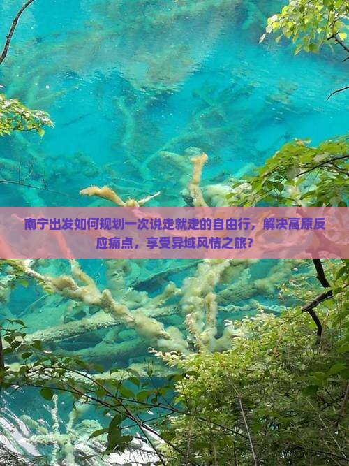 南宁出发如何规划一次说走就走的自由行，解决高原反应痛点，享受异域风情之旅？
