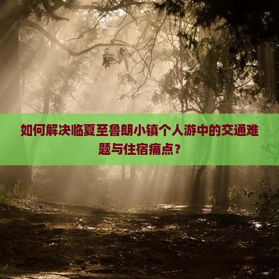 如何解决临夏至鲁朗小镇个人游中的交通难题与住宿痛点？