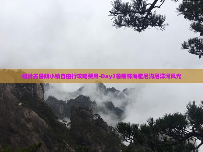 临汾去鲁朗小镇自由行攻略费用-Day2鲁朗林海雅尼沟尼洋河风光