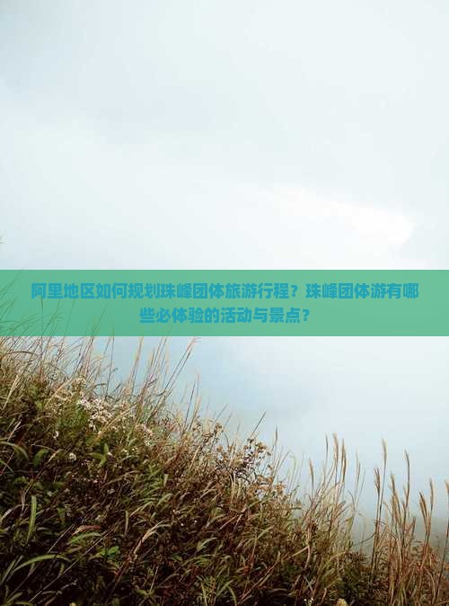 阿里地区如何规划珠峰团体旅游行程？珠峰团体游有哪些必体验的活动与景点？