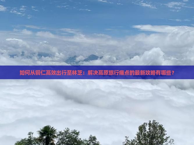 如何从铜仁高效出行至林芝：解决高原旅行痛点的最新攻略有哪些？