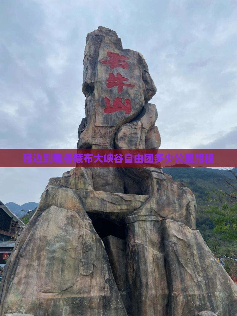 延边到雅鲁藏布大峡谷自由团多少公里路程