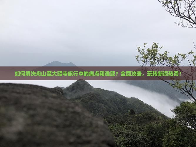 如何解决舟山至大昭寺旅行中的痛点和难题？全面攻略，玩转新词热词！