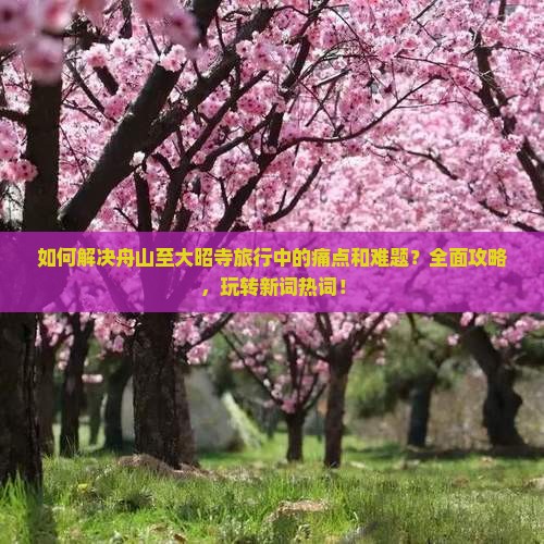 如何解决舟山至大昭寺旅行中的痛点和难题？全面攻略，玩转新词热词！