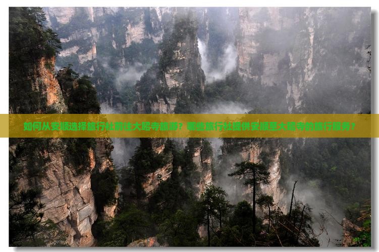 如何从安顺选择旅行社前往大昭寺旅游？哪些旅行社提供安顺至大昭寺的旅行服务？