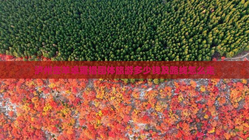 泸州去羊卓雍措团体旅游多少钱及路线怎么走