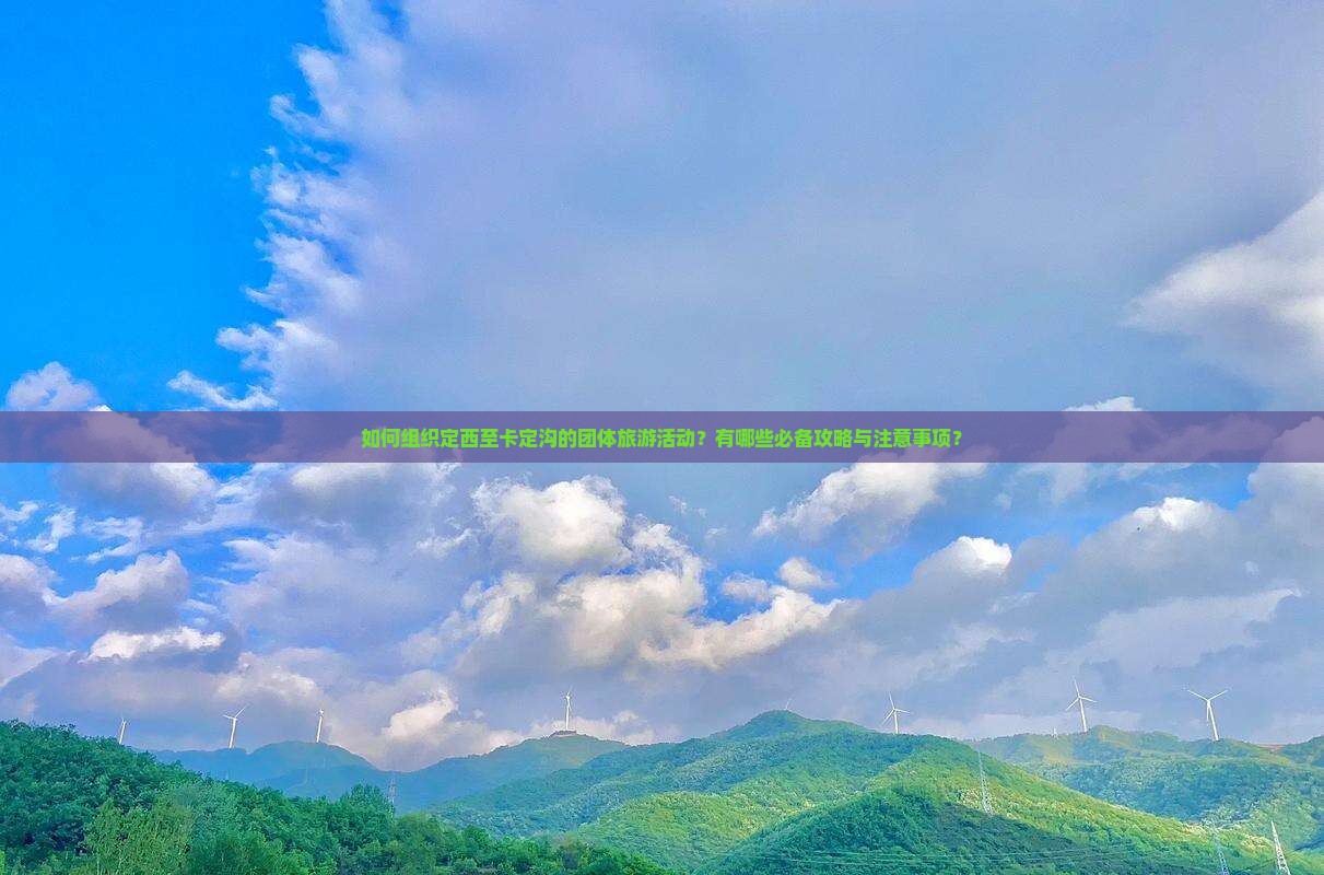 如何组织定西至卡定沟的团体旅游活动？有哪些必备攻略与注意事项？