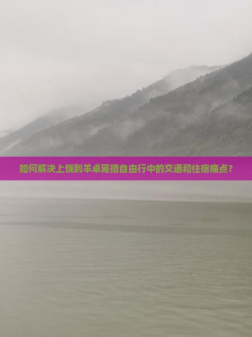 如何解决上饶到羊卓雍措自由行中的交通和住宿痛点？