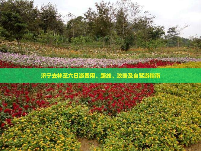 济宁去林芝六日游费用、路线、攻略及自驾游指南