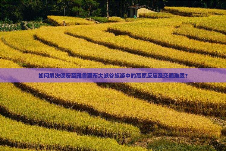 如何解决德宏至雅鲁藏布大峡谷旅游中的高原反应及交通难题？