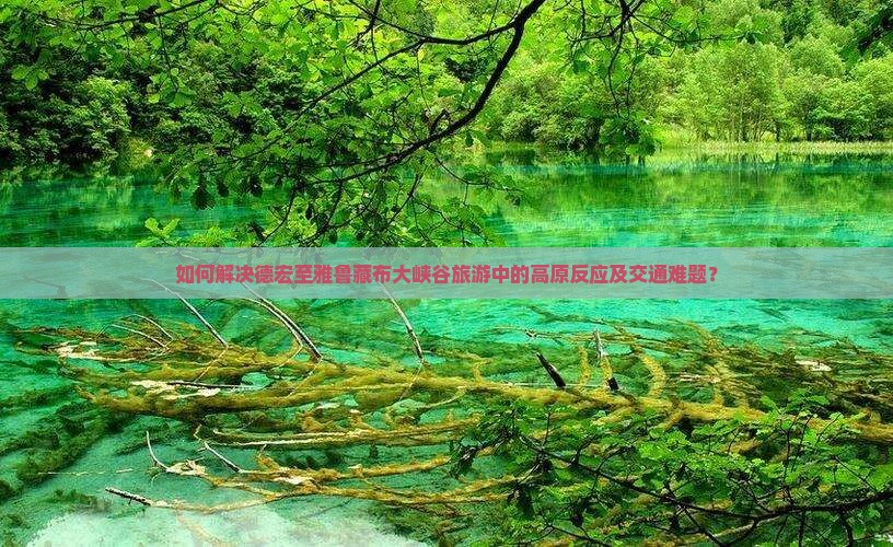 如何解决德宏至雅鲁藏布大峡谷旅游中的高原反应及交通难题？