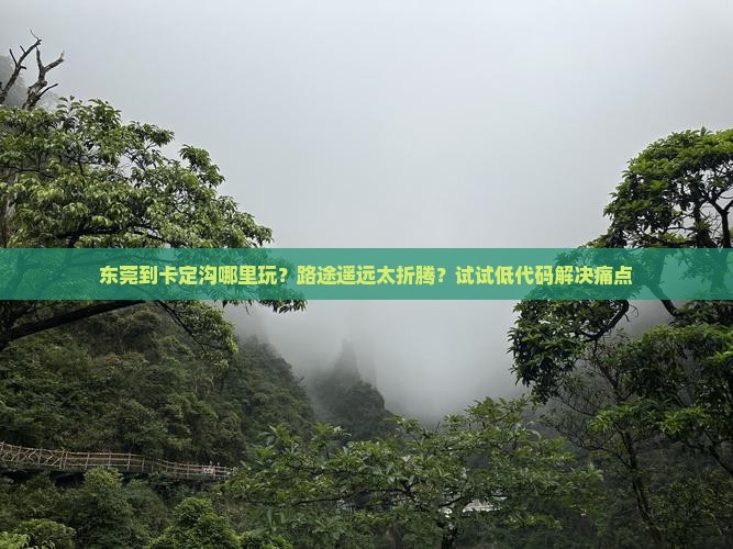 东莞到卡定沟哪里玩？路途遥远太折腾？试试低代码解决痛点