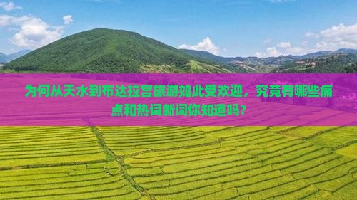 为何从天水到布达拉宫旅游如此受欢迎，究竟有哪些痛点和热词新词你知道吗？