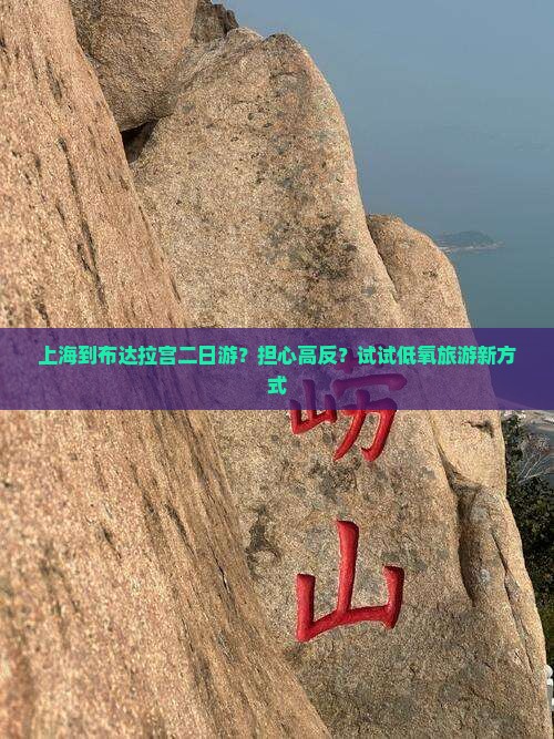 上海到布达拉宫二日游？担心高反？试试低氧旅游新方式