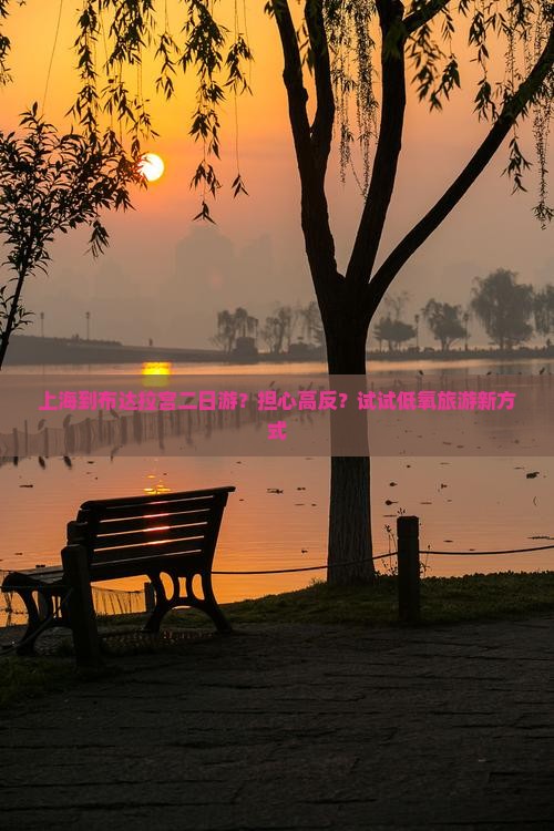上海到布达拉宫二日游？担心高反？试试低氧旅游新方式