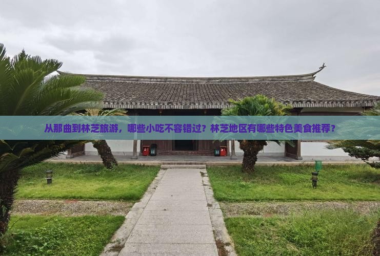 从那曲到林芝旅游，哪些小吃不容错过？林芝地区有哪些特色美食推荐？