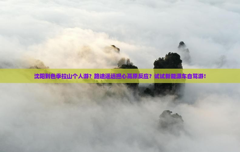 沈阳到色季拉山个人游？路途遥远担心高原反应？试试新能源车自驾游！