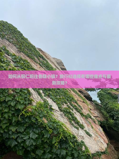 如何从铜仁前往鲁朗小镇？旅行社选择有哪些痛点与最新攻略？