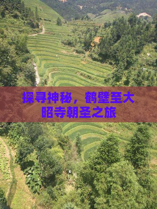 探寻神秘，鹤壁至大昭寺朝圣之旅
