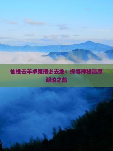 仙桃去羊卓雍措必去地：探寻神秘高原湖泊之旅