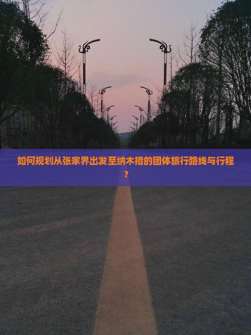 如何规划从张家界出发至纳木措的团体旅行路线与行程？