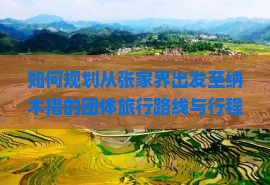 如何规划从张家界出发至纳木措的团体旅行路线与行程？