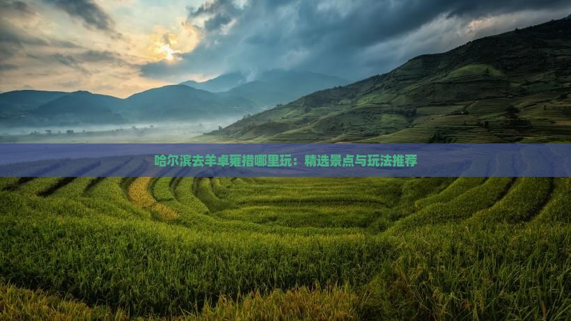 哈尔滨去羊卓雍措哪里玩：精选景点与玩法推荐